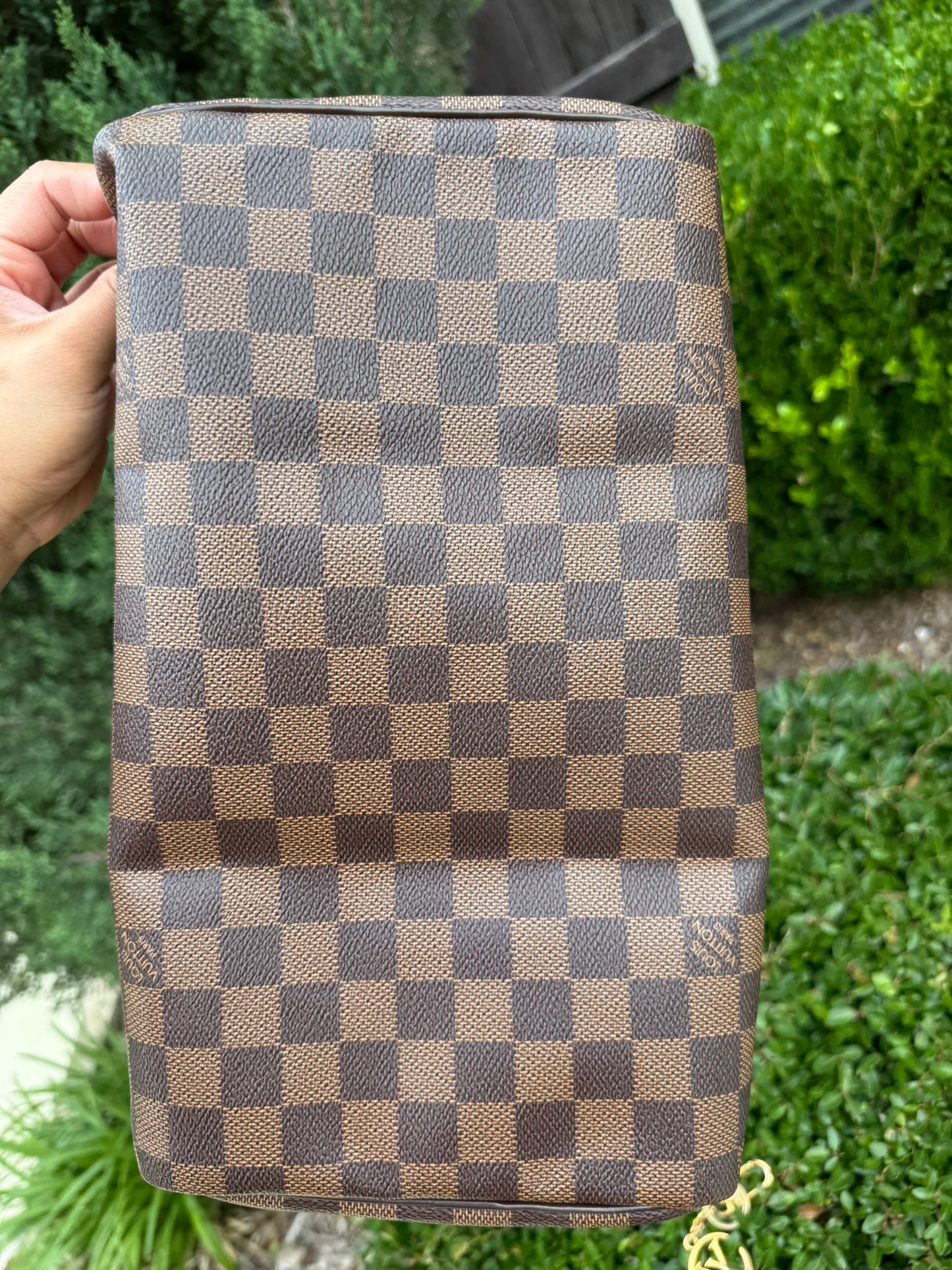 Louis Vuitton Speedy 30 in Damier Ebene Canvas