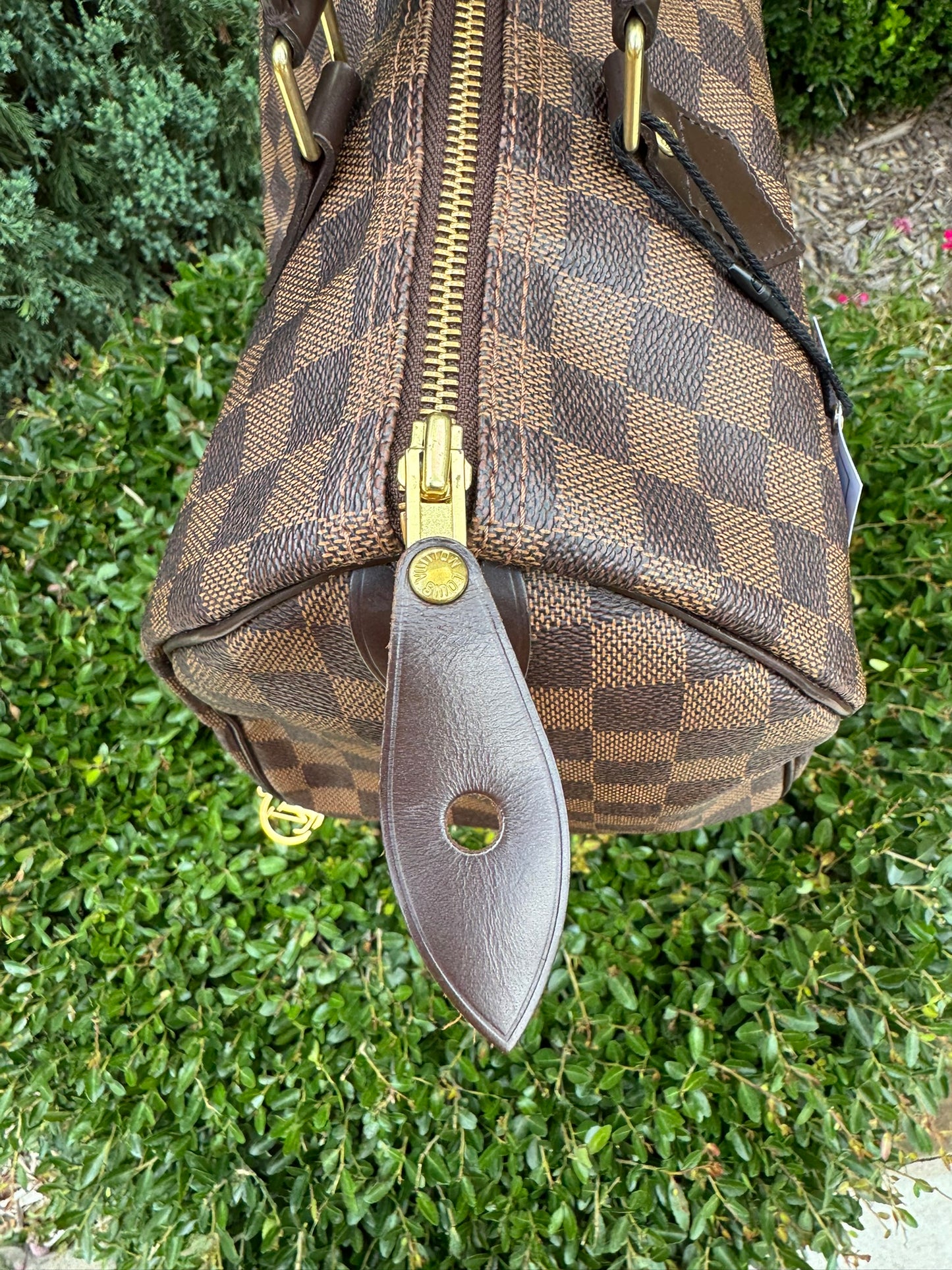 Louis Vuitton Speedy 30 in Damier Ebene Canvas