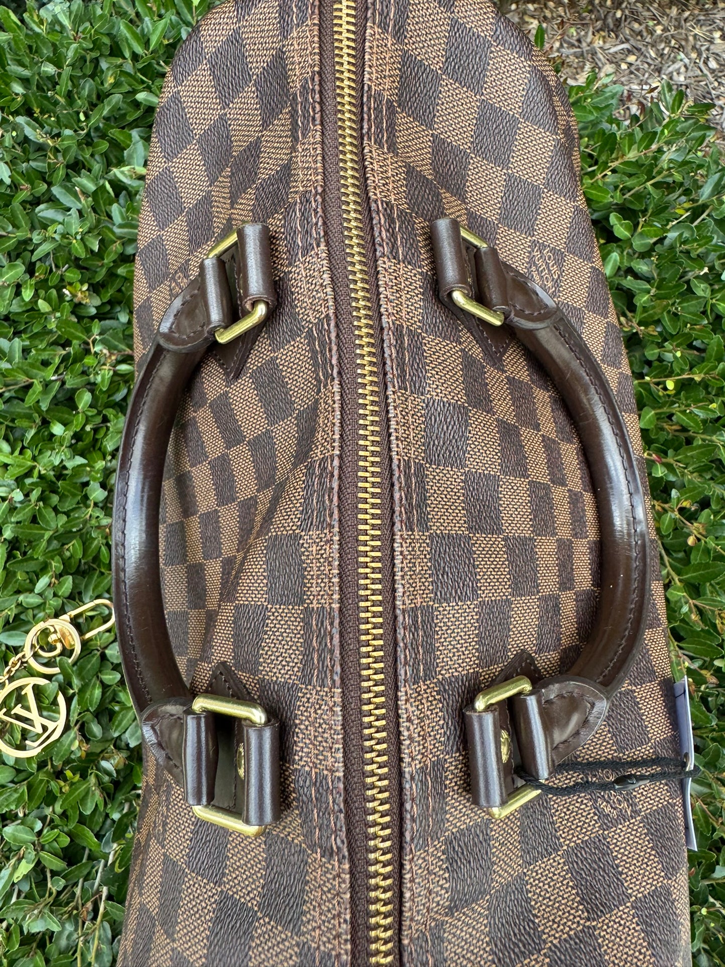 Louis Vuitton Speedy 30 in Damier Ebene Canvas