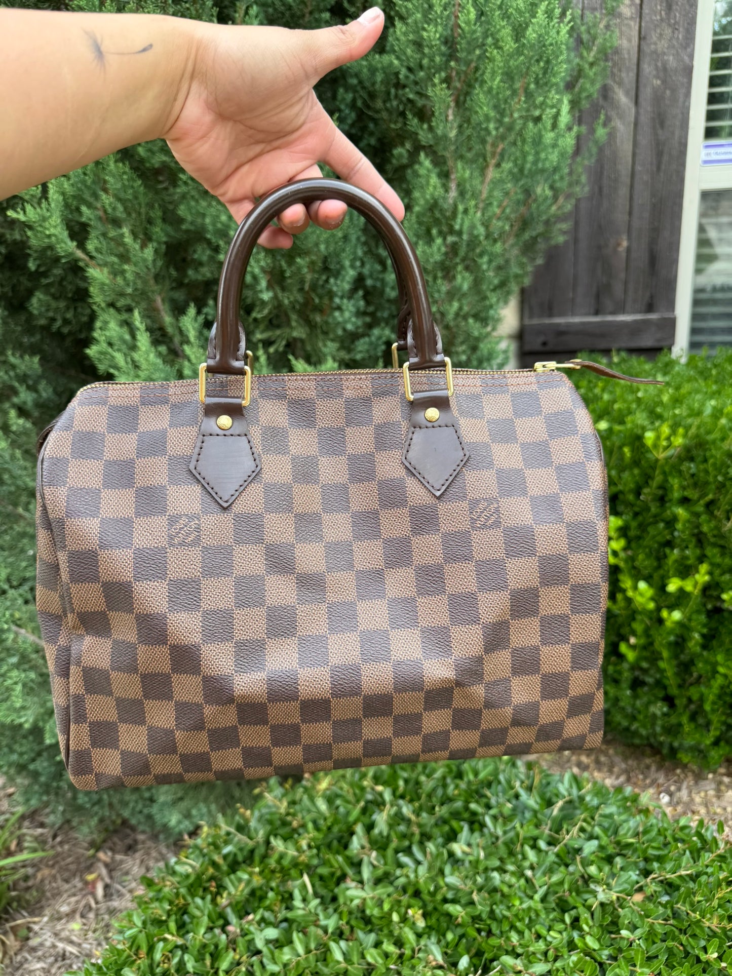 Louis Vuitton Speedy 30 in Damier Ebene Canvas