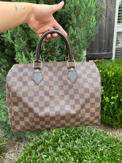 Louis Vuitton Speedy 30 in Damier Ebene Canvas