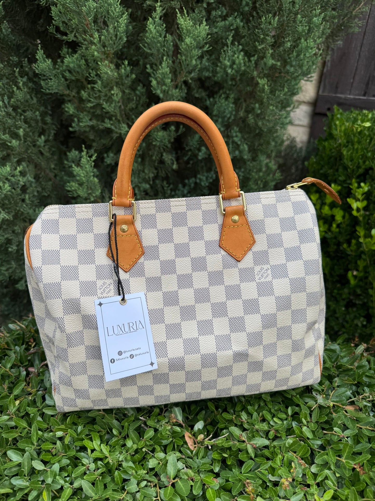 Louis Vuitton Speedy 30 in Damier Azur