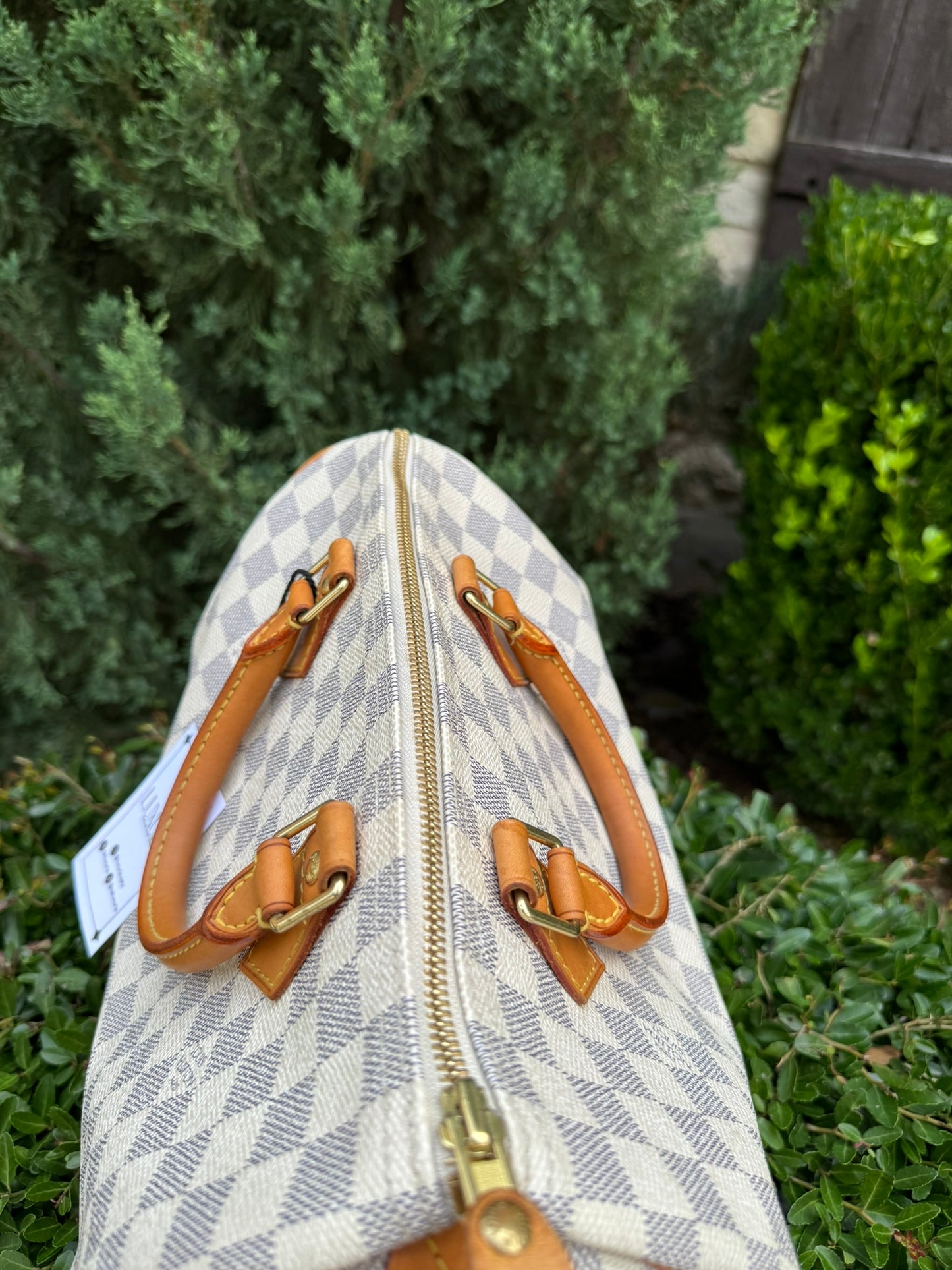 Louis Vuitton Speedy 30 in Damier Azur