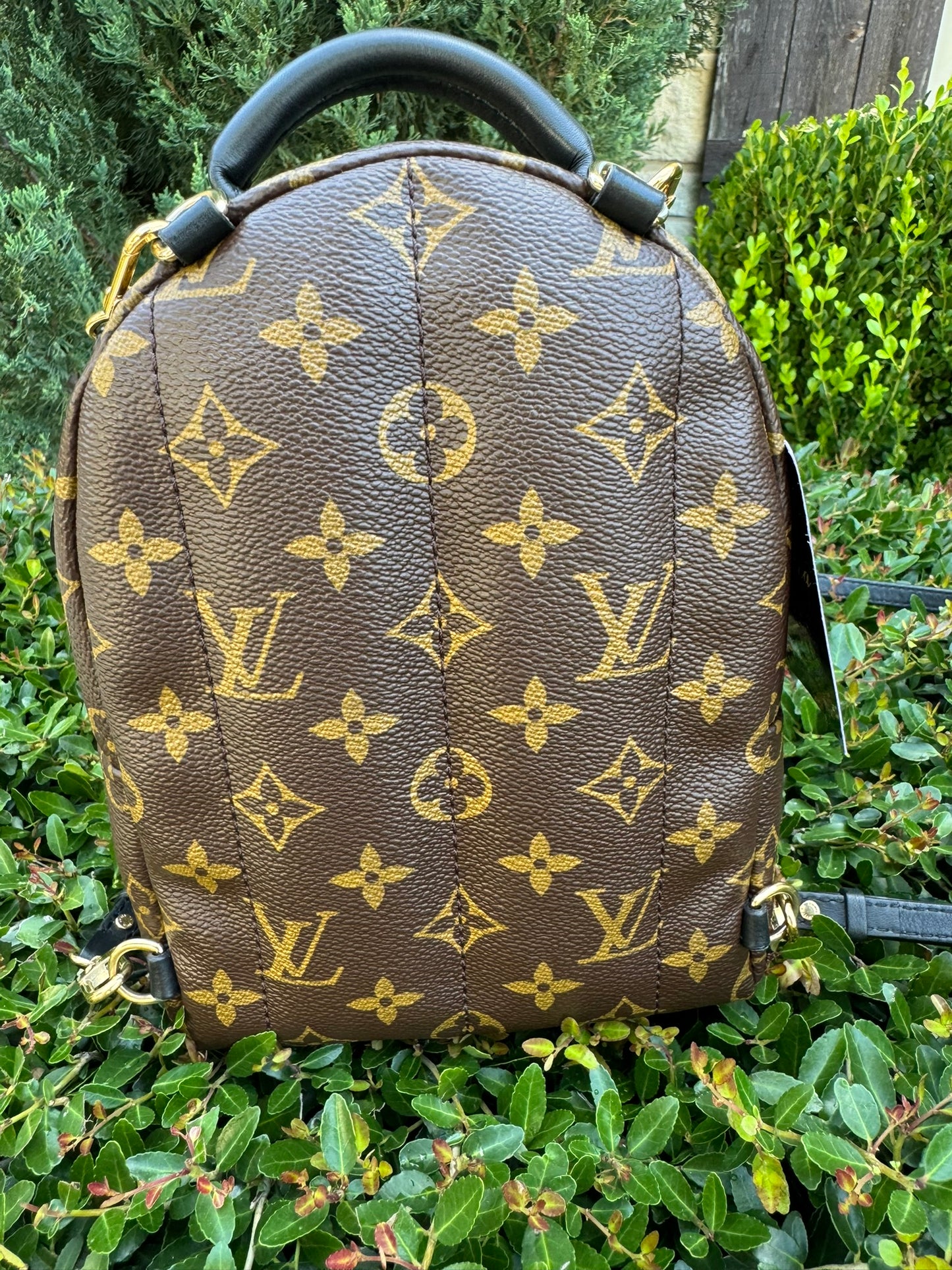 Louis Vuitton Palm Springs Mini Backpack