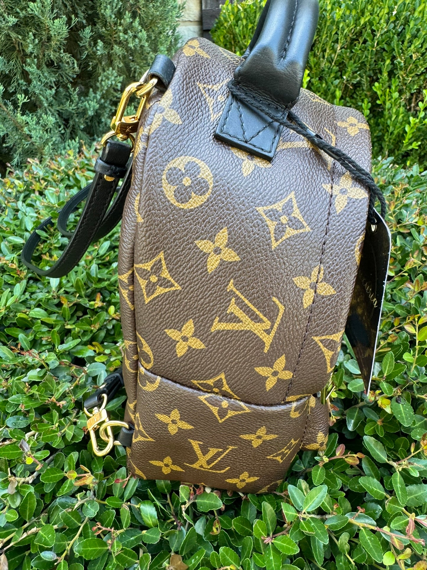 Louis Vuitton Palm Springs Mini Backpack
