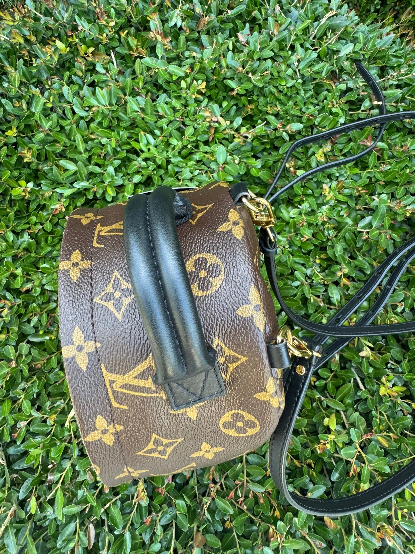 Louis Vuitton Palm Springs Mini Backpack