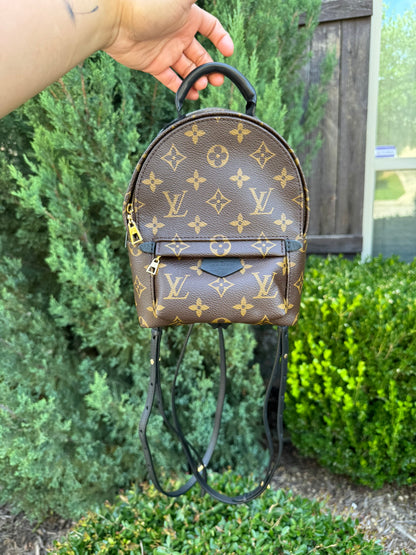Louis Vuitton Palm Springs Mini Backpack