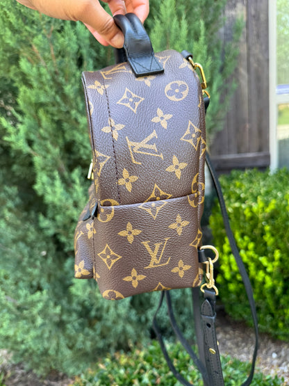 Louis Vuitton Palm Springs Mini Backpack