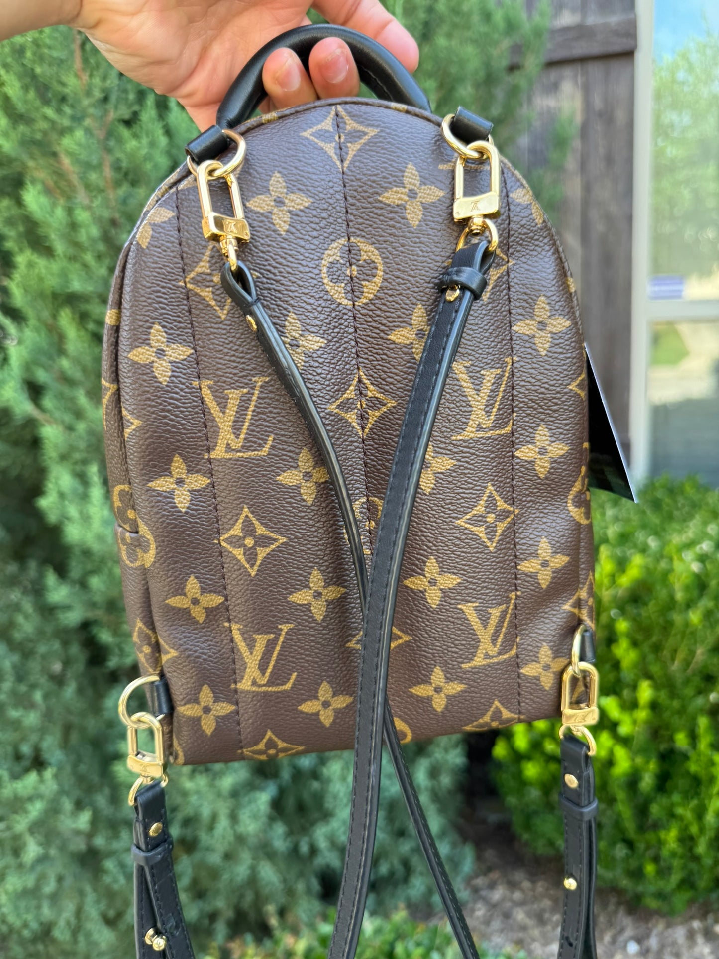 Louis Vuitton Palm Springs Mini Backpack