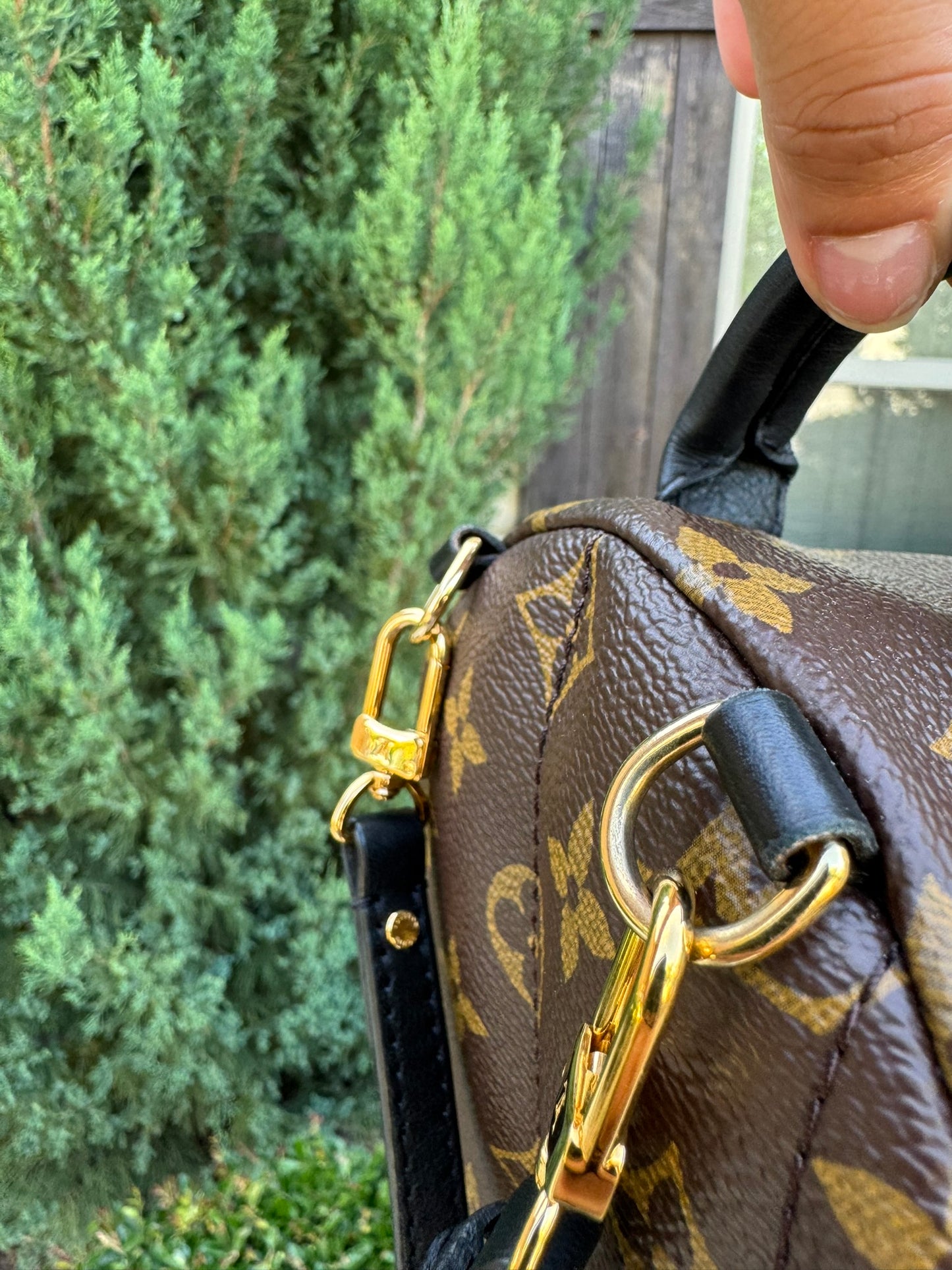 Louis Vuitton Palm Springs Mini Backpack