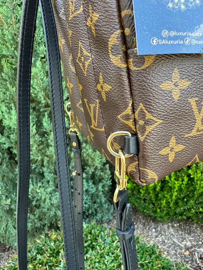 Louis Vuitton Palm Springs Mini Backpack