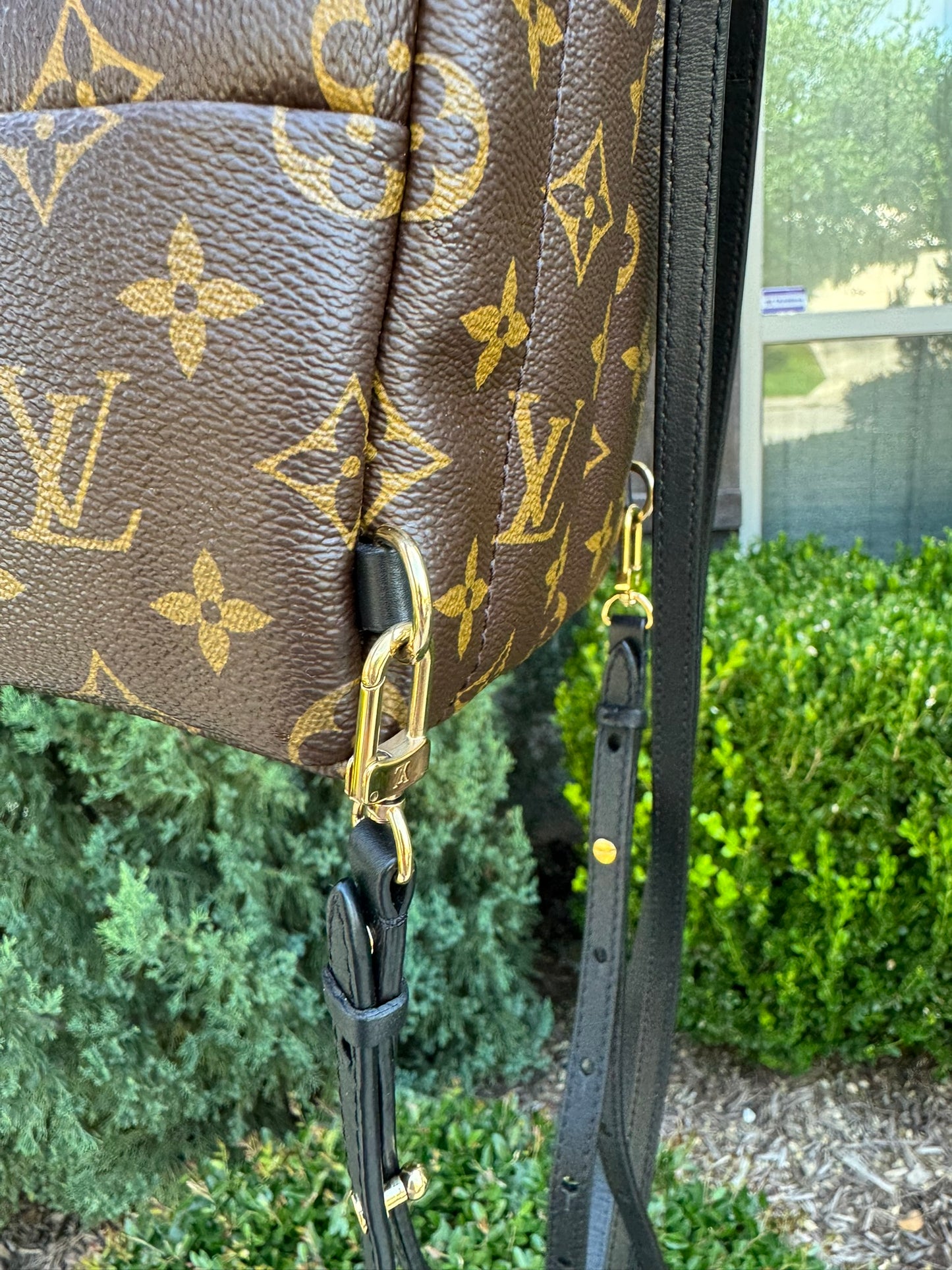 Louis Vuitton Palm Springs Mini Backpack