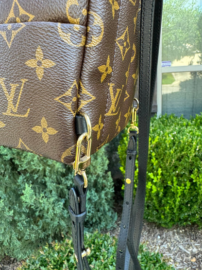 Louis Vuitton Palm Springs Mini Backpack