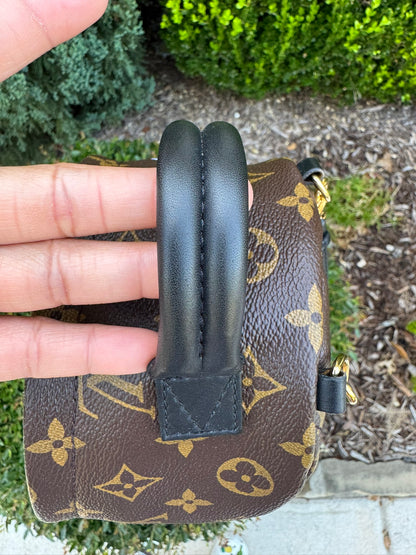 Louis Vuitton Palm Springs Mini Backpack