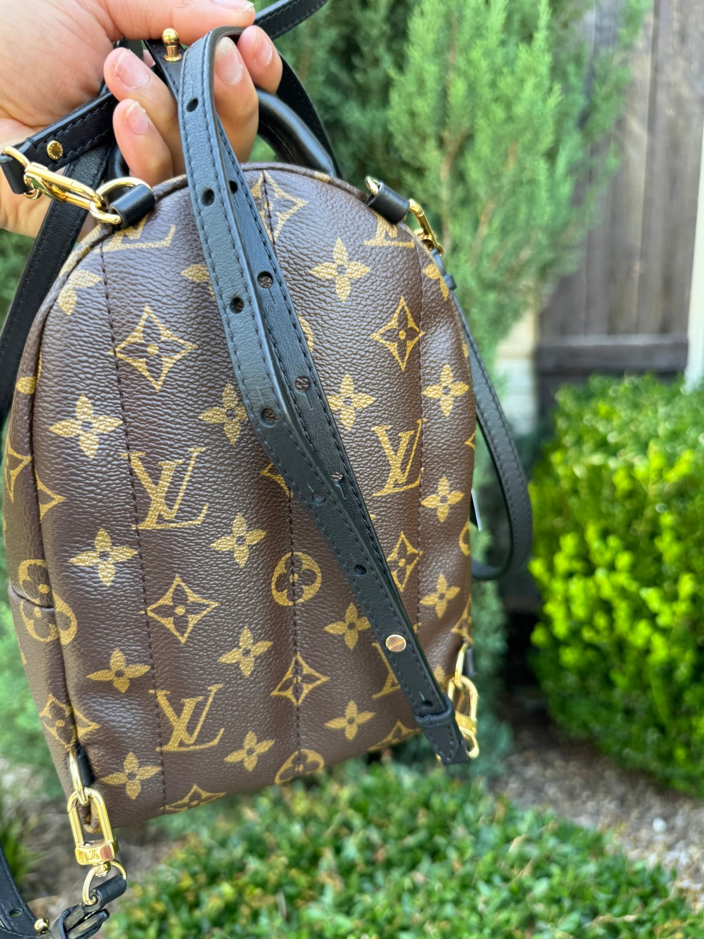 Louis Vuitton Palm Springs Mini Backpack