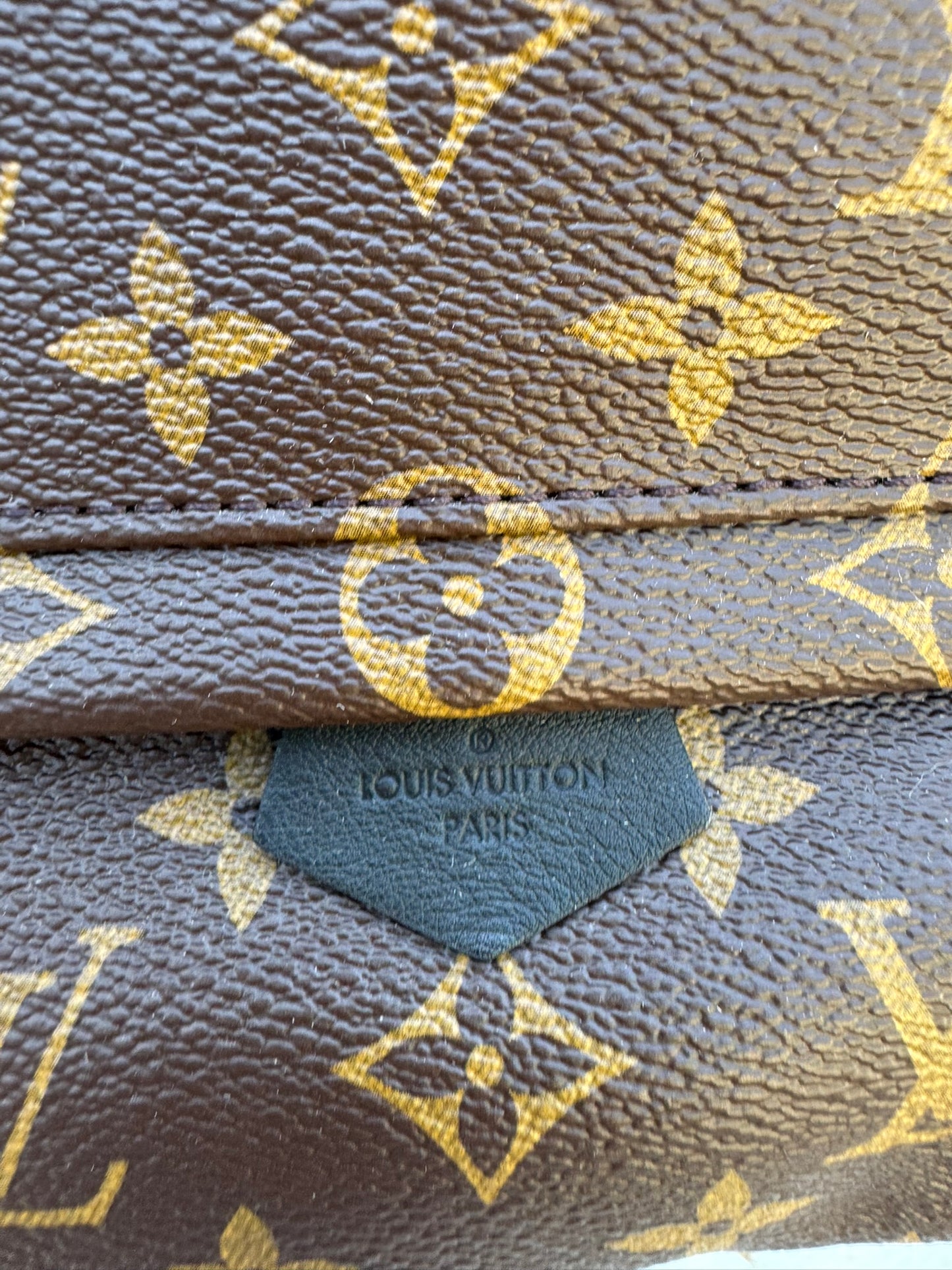 Louis Vuitton Palm Springs Mini Backpack