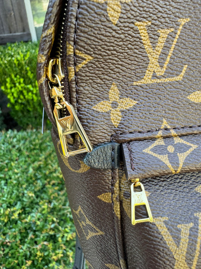 Louis Vuitton Palm Springs Mini Backpack