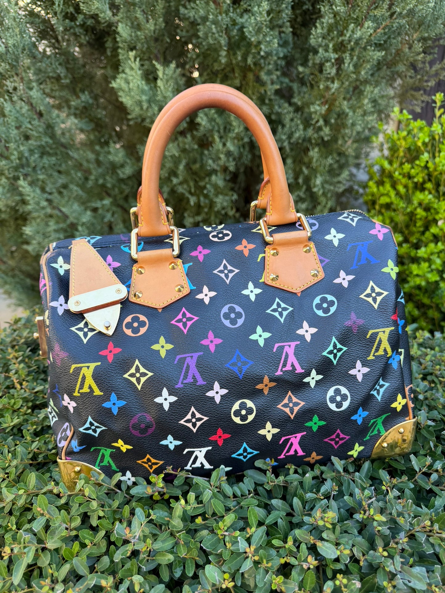 Louis Vuitton Speedy 30 – Multicolor Noir