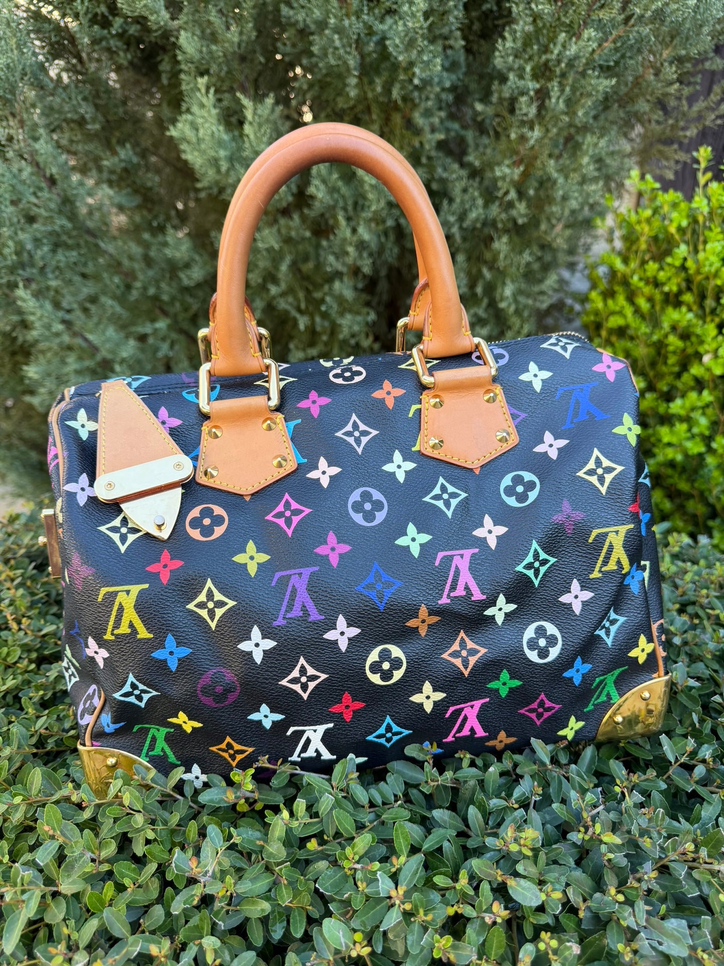 Louis Vuitton Speedy 30 – Multicolor Noir