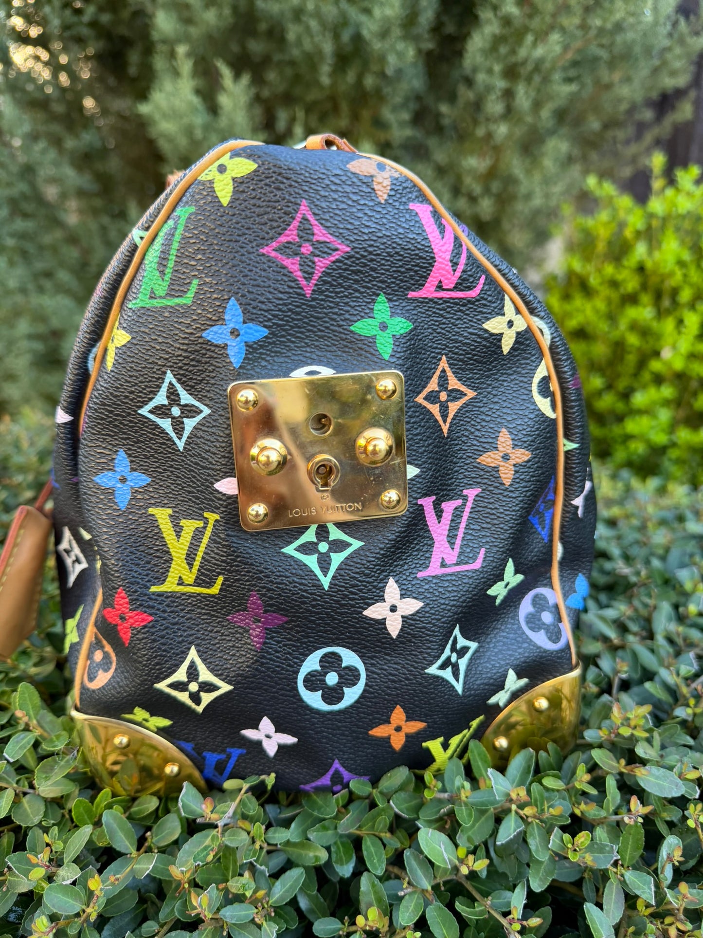 Louis Vuitton Speedy 30 – Multicolor Noir