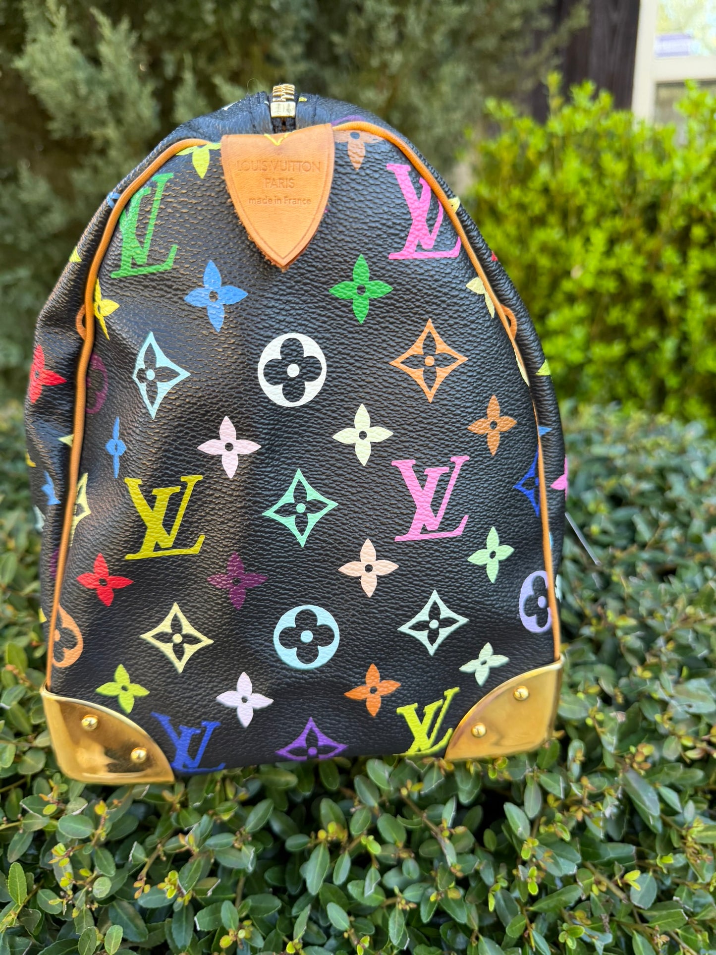 Louis Vuitton Speedy 30 – Multicolor Noir