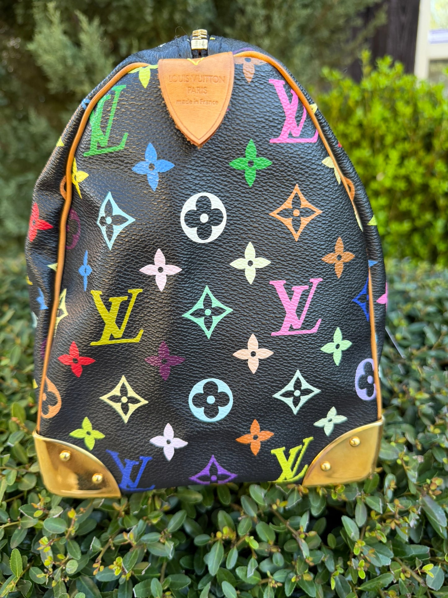 Louis Vuitton Speedy 30 – Multicolor Noir