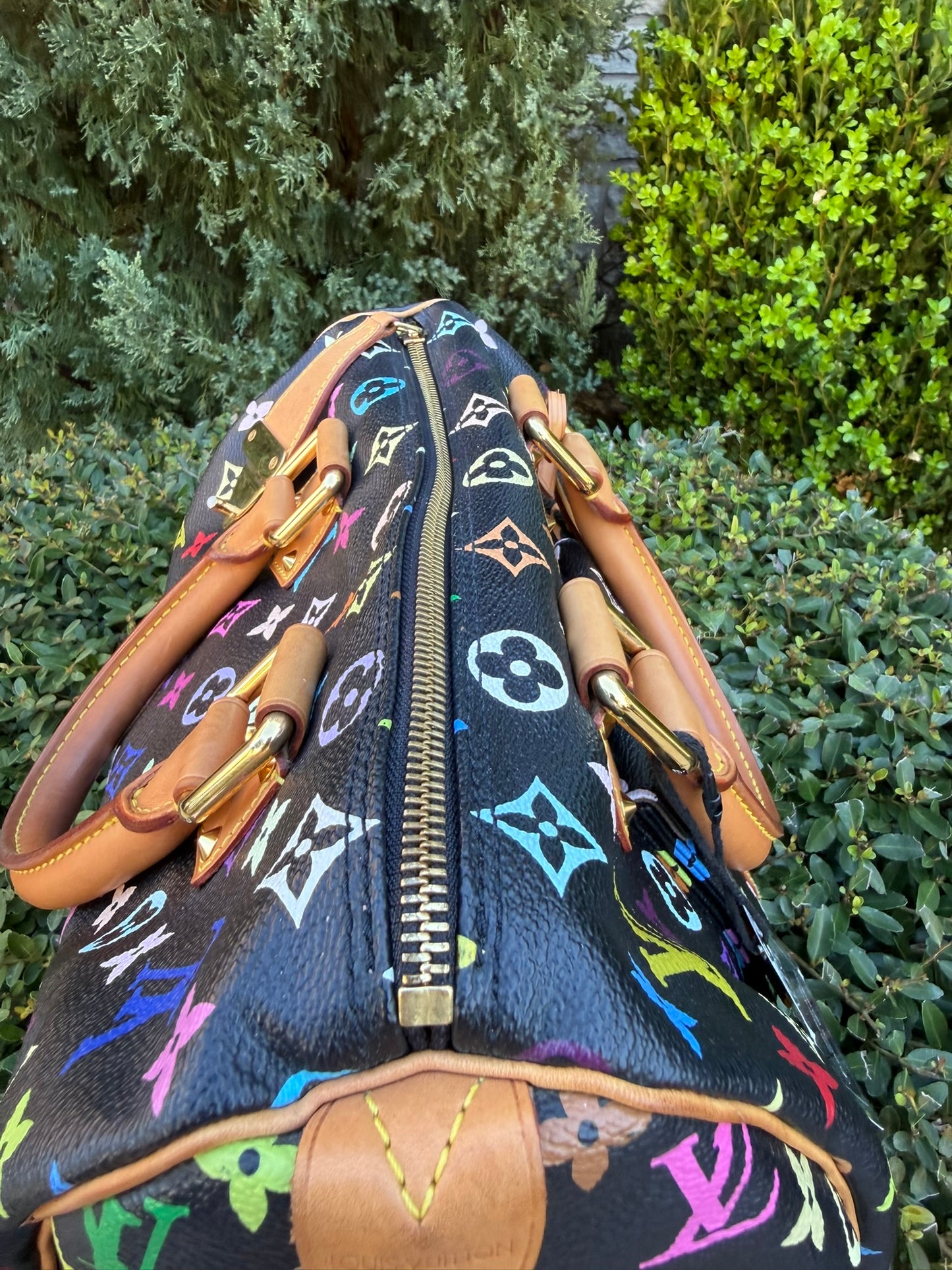 Louis Vuitton Speedy 30 – Multicolor Noir