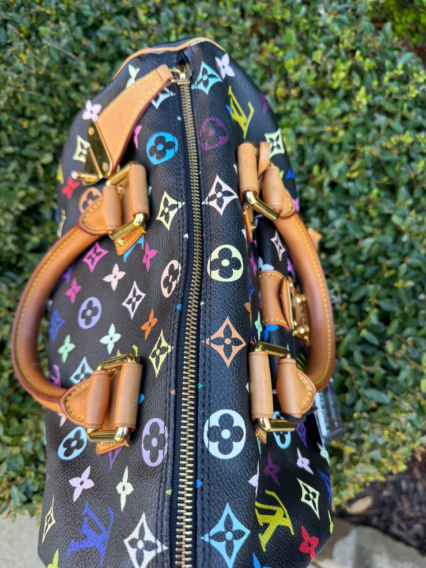 Louis Vuitton Speedy 30 – Multicolor Noir