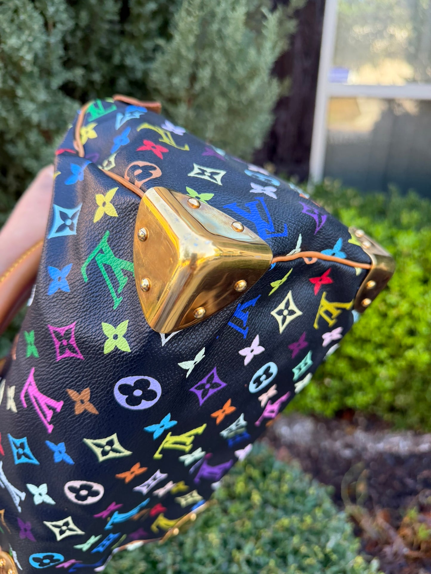 Louis Vuitton Speedy 30 – Multicolor Noir