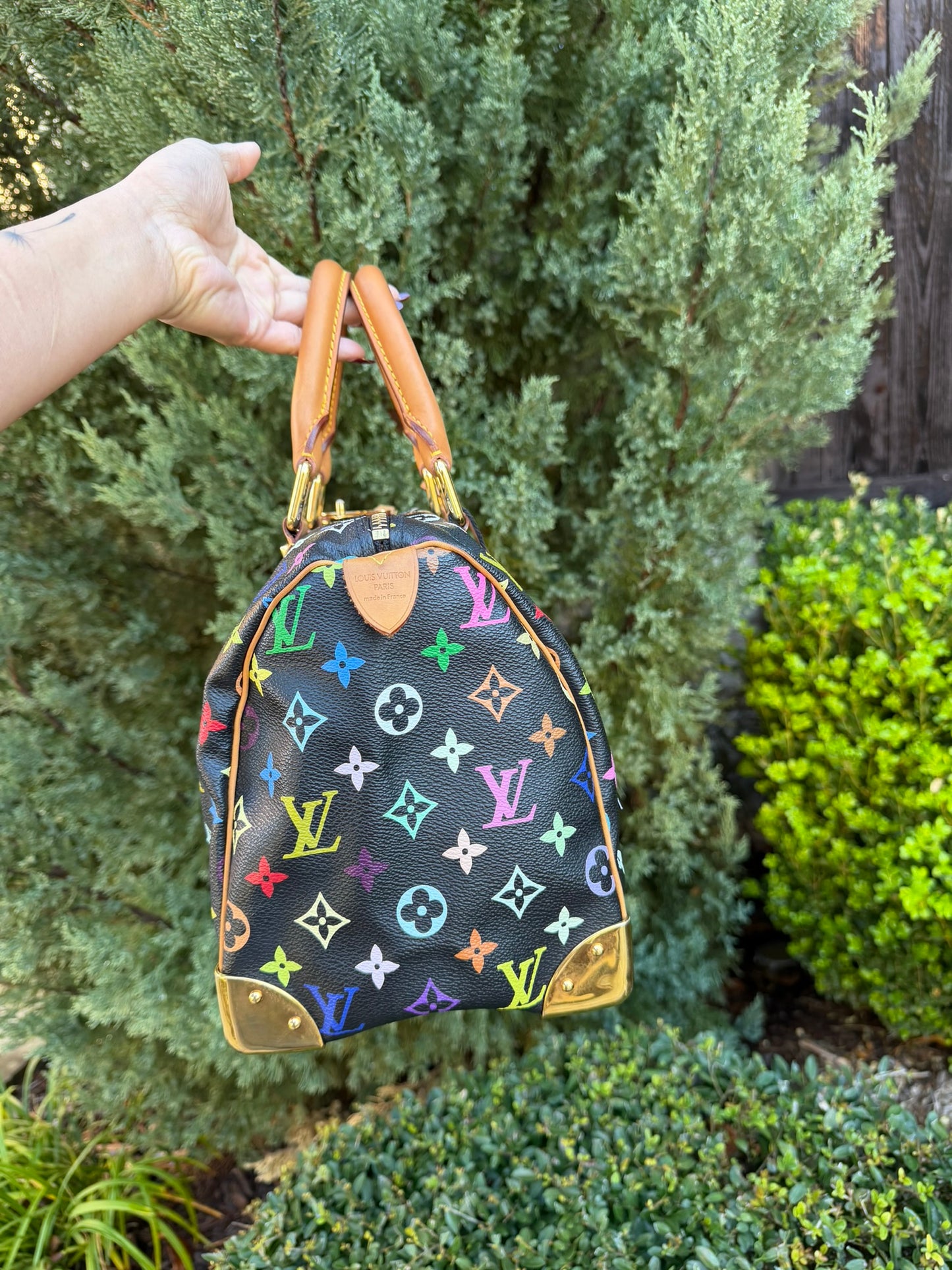 Louis Vuitton Speedy 30 – Multicolor Noir