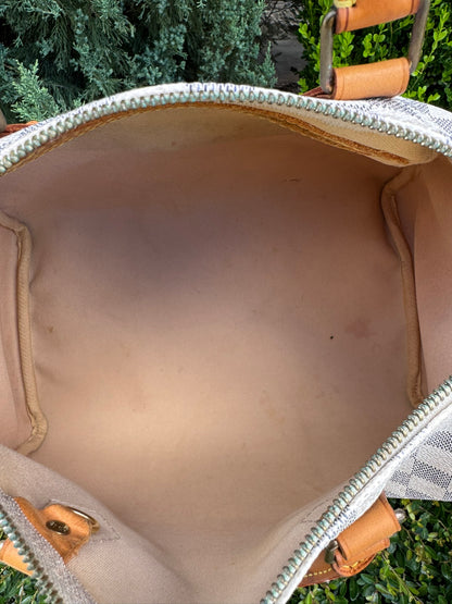 Louis Vuitton Speedy 30 in Damier Azur Canvas