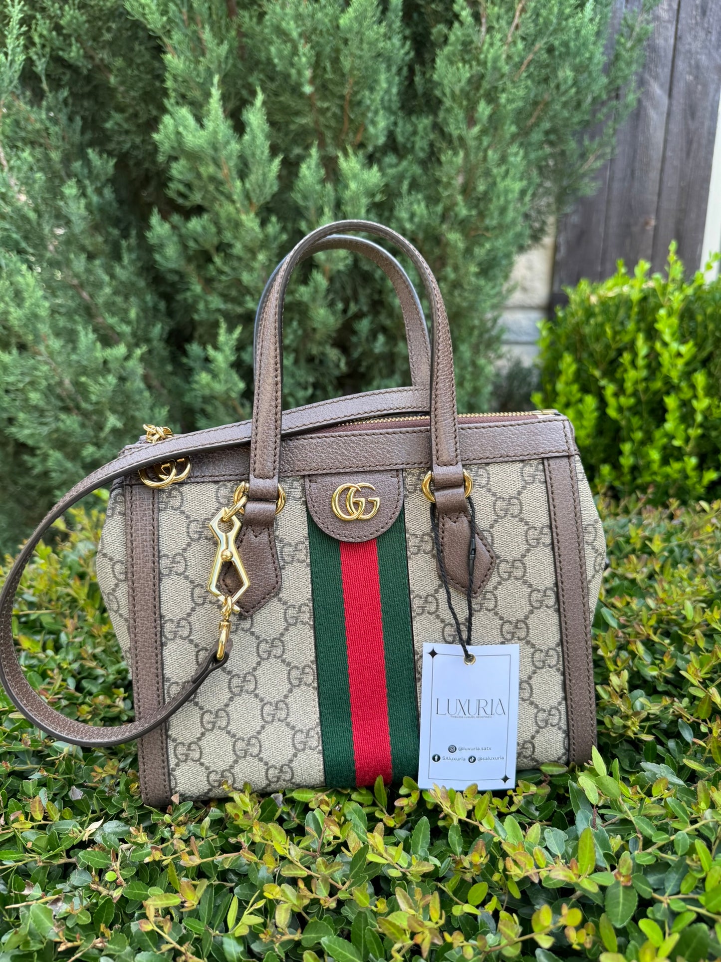 Gucci Ophidia Small Tote in GG Supreme Canvas