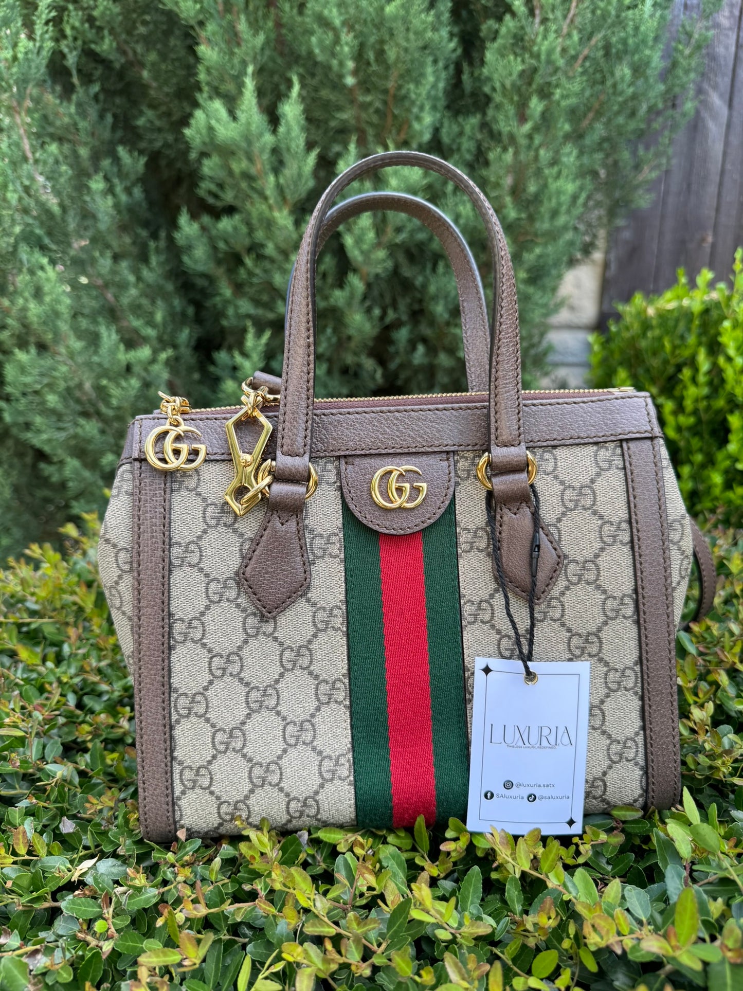 Gucci Ophidia Small Tote in GG Supreme Canvas