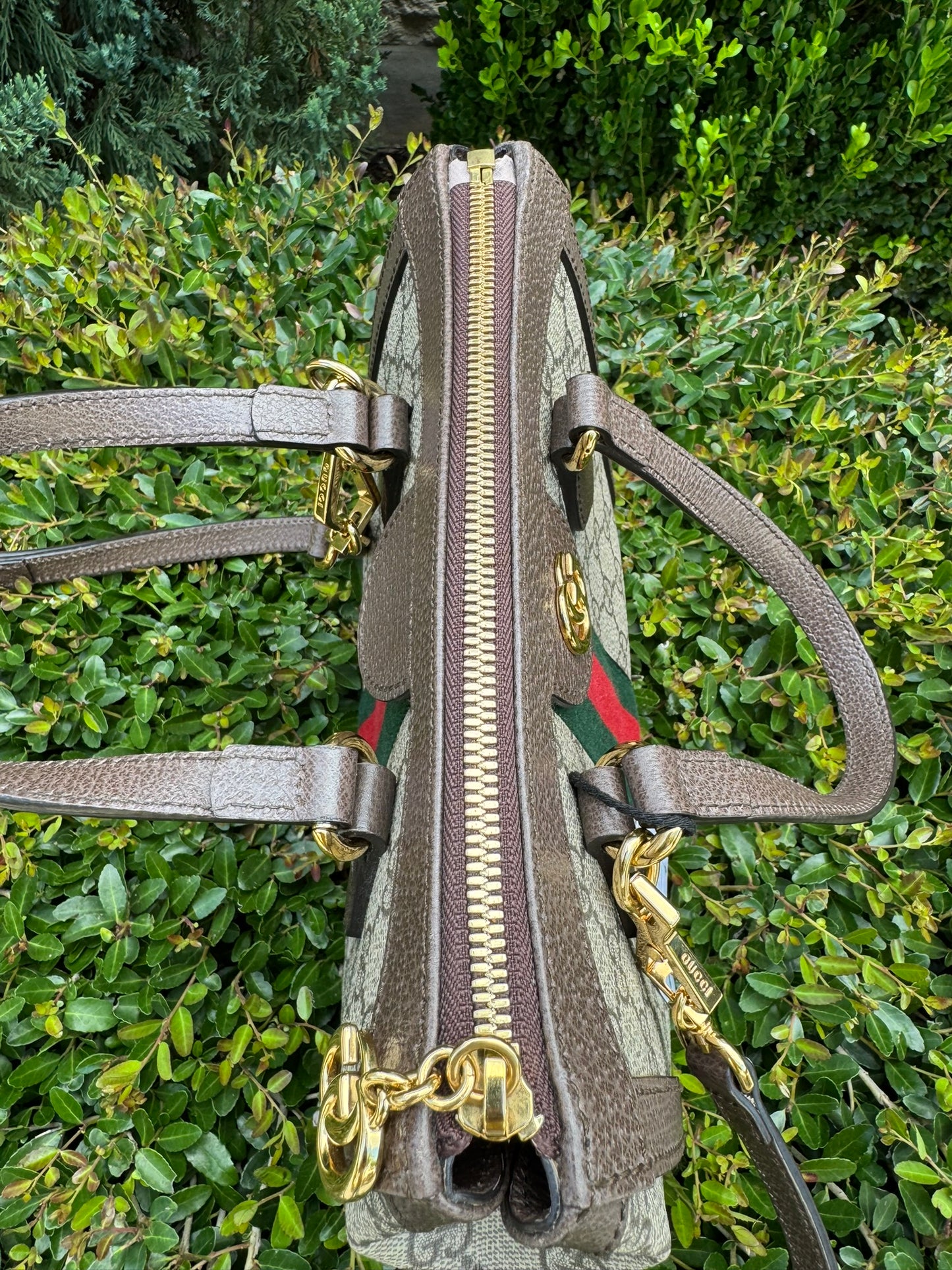 Gucci Ophidia Small Tote in GG Supreme Canvas