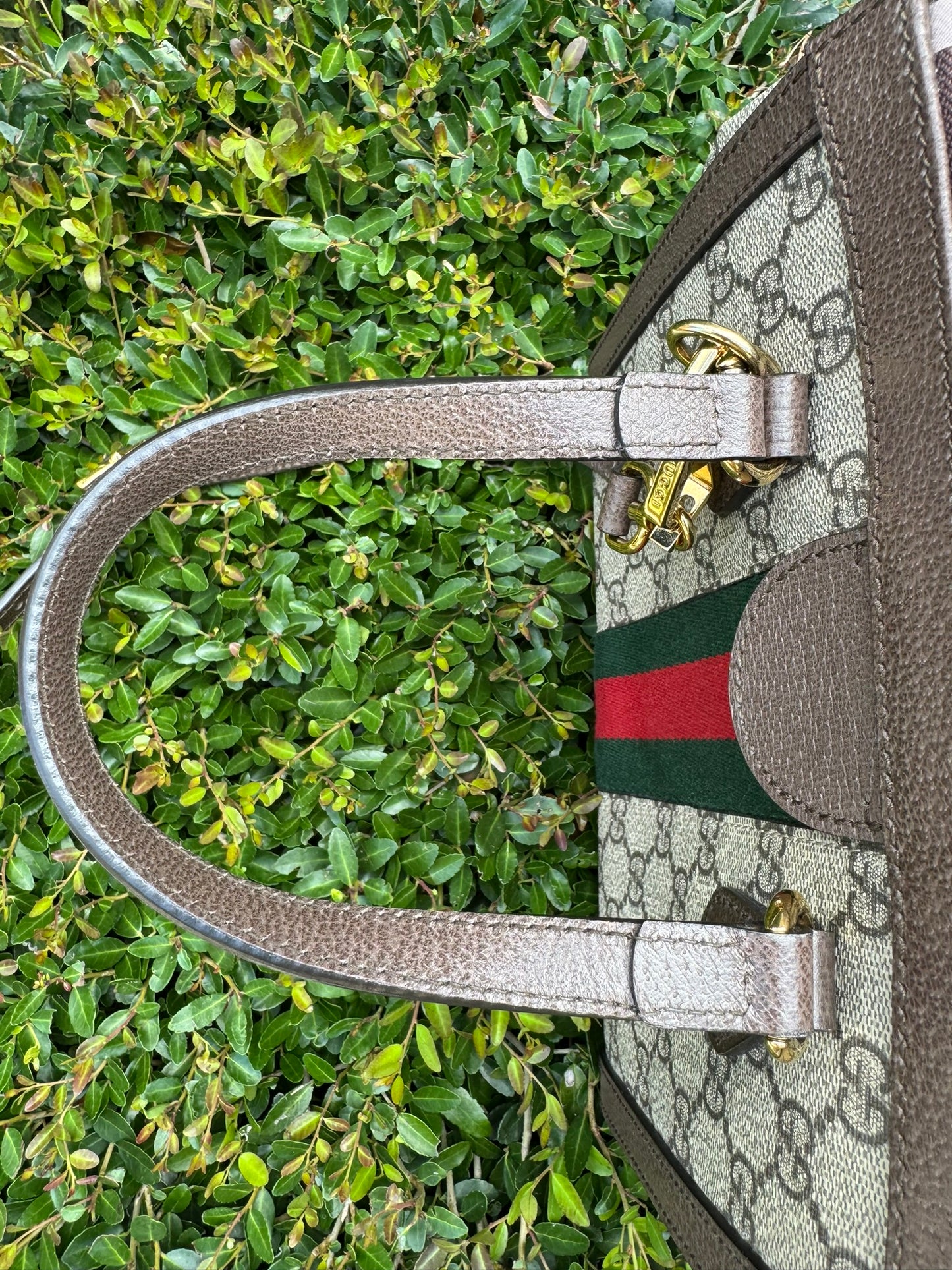 Gucci Ophidia Small Tote in GG Supreme Canvas