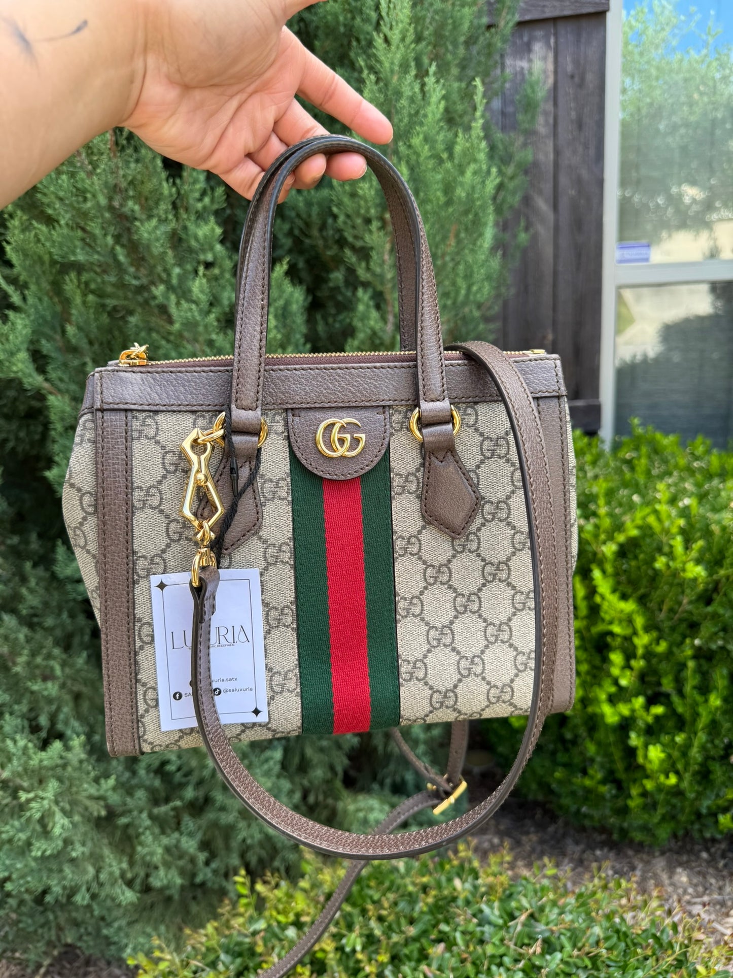 Gucci Ophidia Small Tote in GG Supreme Canvas