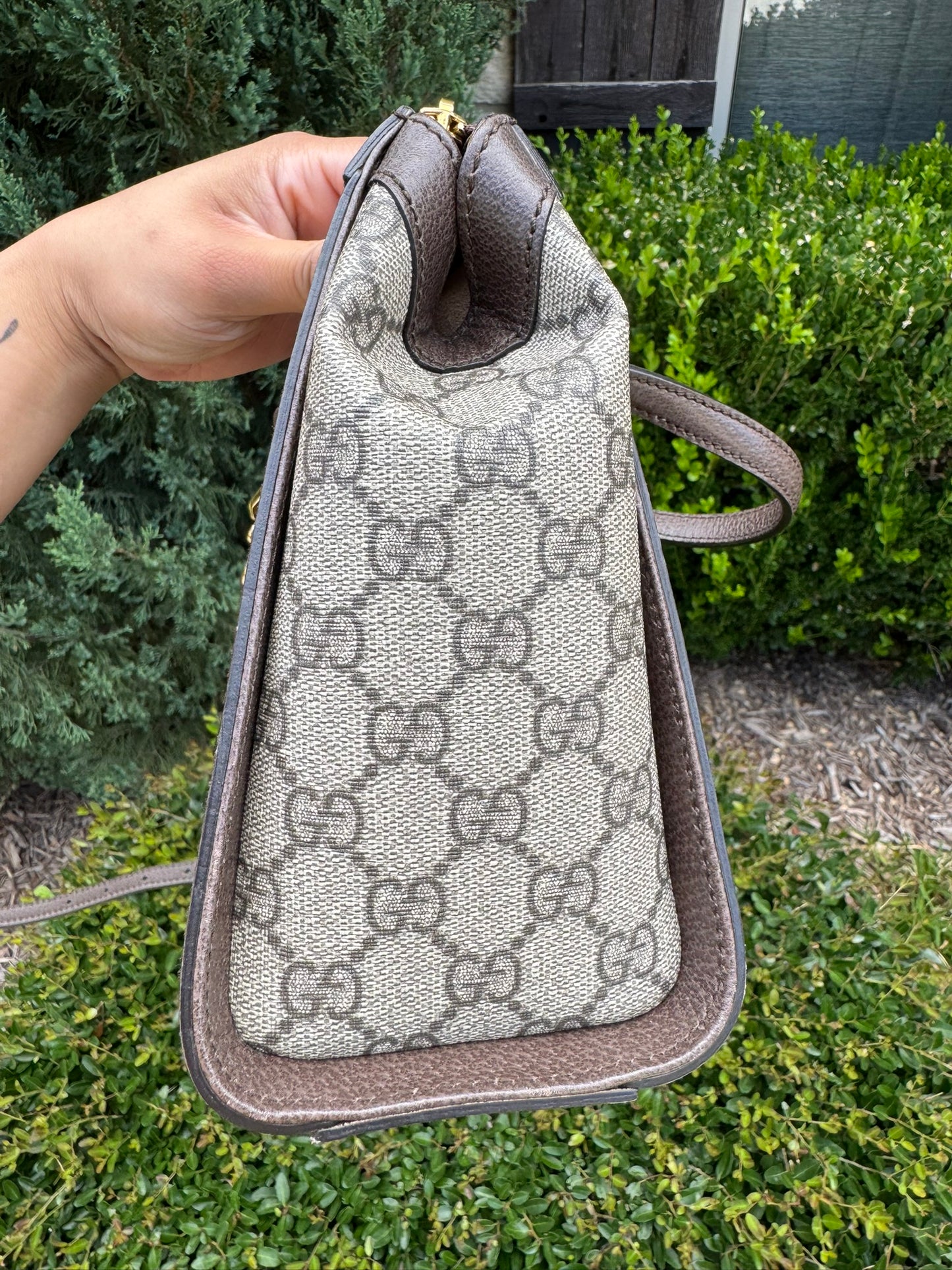 Gucci Ophidia Small Tote in GG Supreme Canvas
