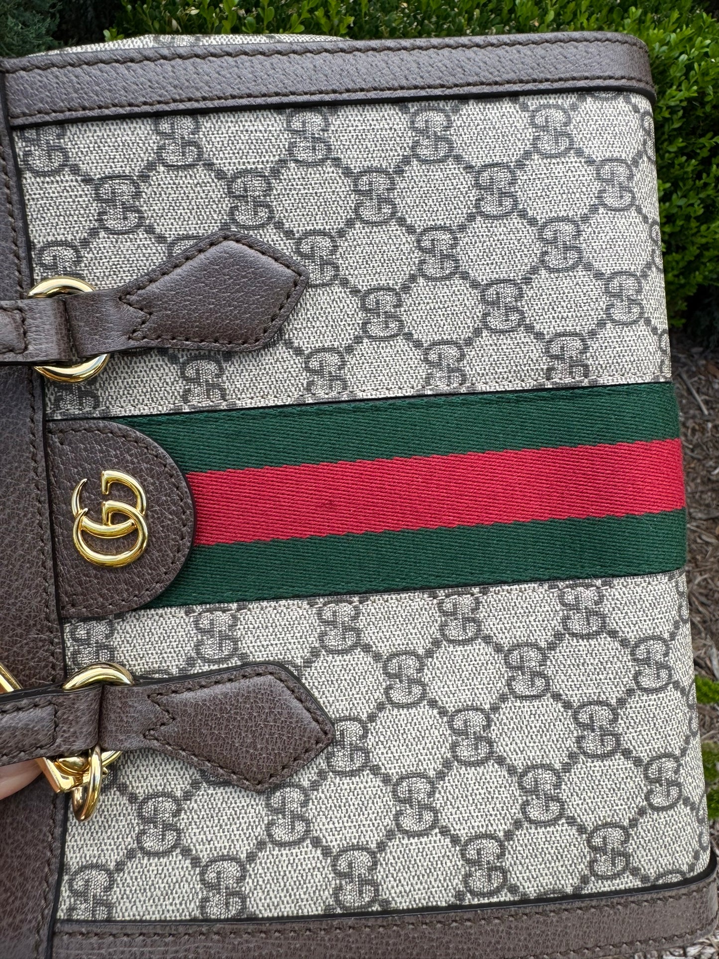 Gucci Ophidia Small Tote in GG Supreme Canvas