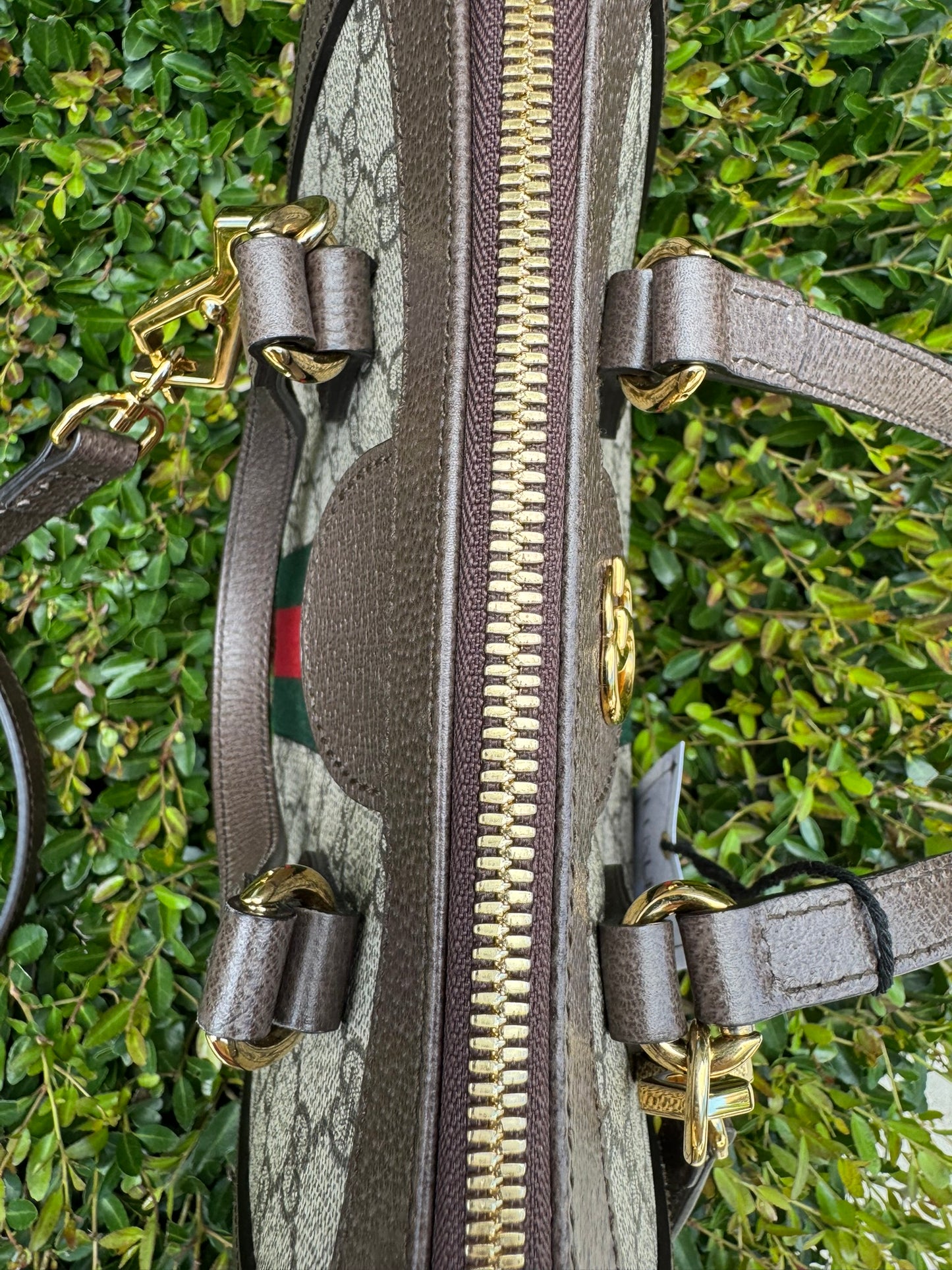 Gucci Ophidia Small Tote in GG Supreme Canvas