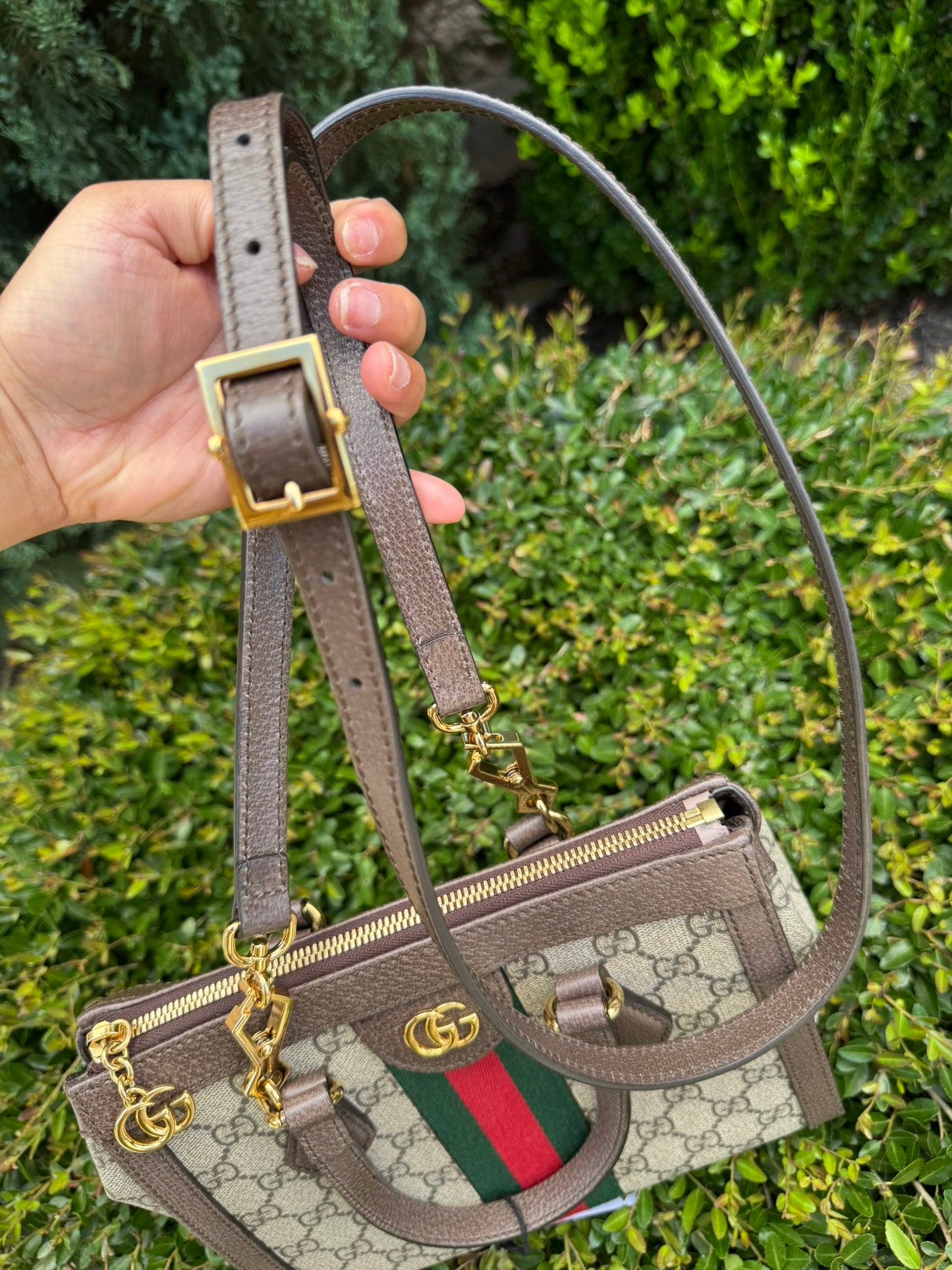 Gucci Ophidia Small Tote in GG Supreme Canvas