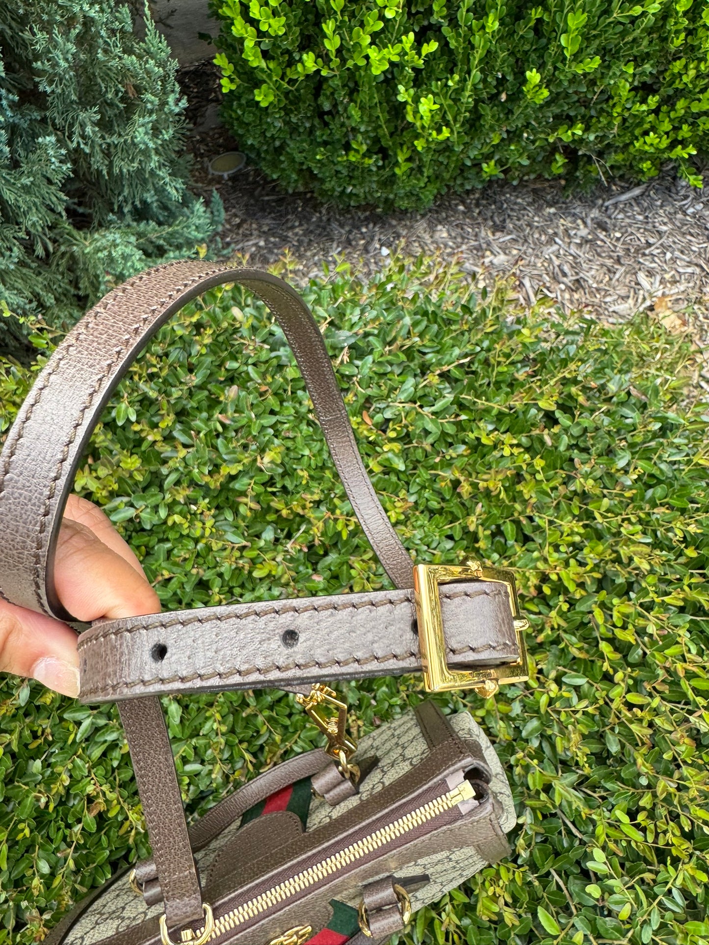 Gucci Ophidia Small Tote in GG Supreme Canvas