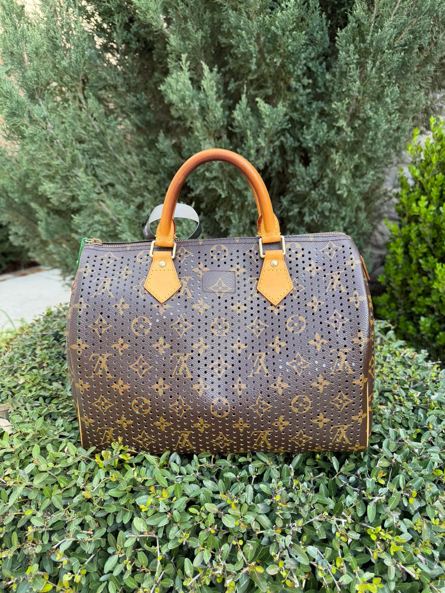 Louis Vuitton Speedy 30 – Perforated Green (Limited Edition)