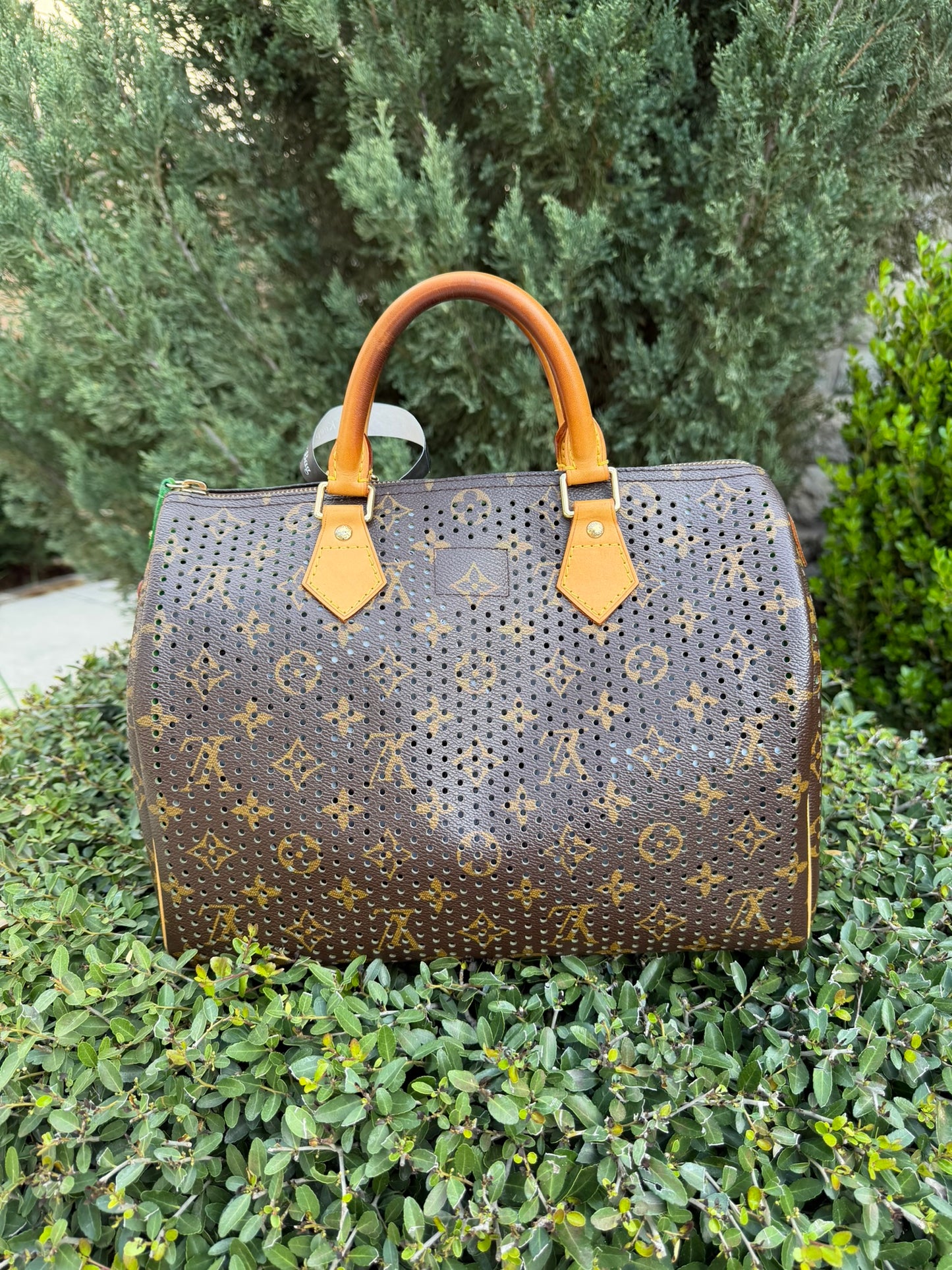 Louis Vuitton Speedy 30 – Perforated Green (Limited Edition)
