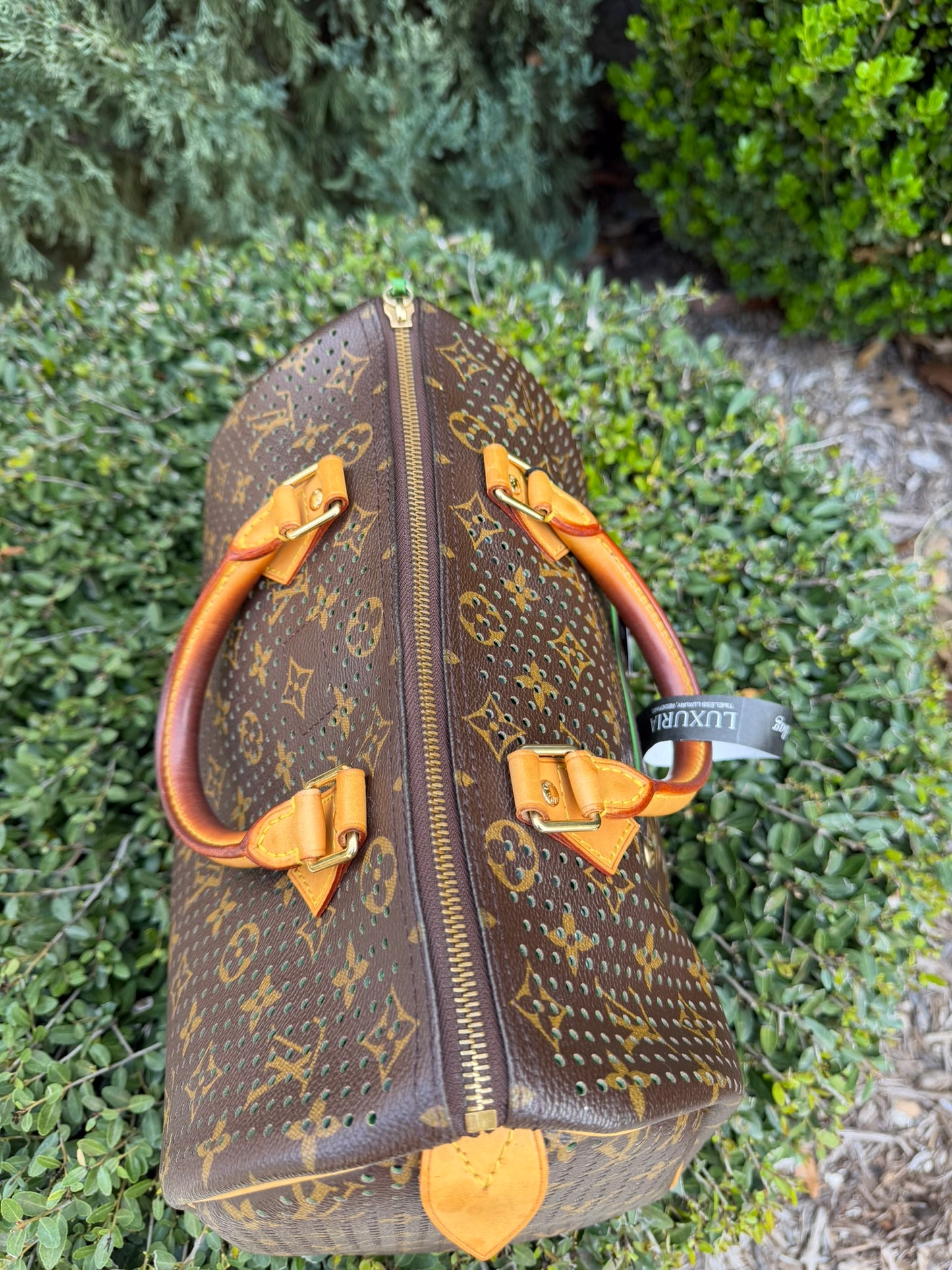 Louis Vuitton Speedy 30 – Perforated Green (Limited Edition)