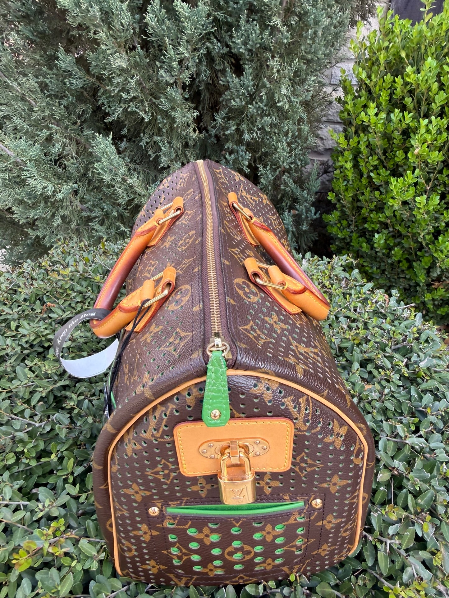 Louis Vuitton Speedy 30 – Perforated Green (Limited Edition)