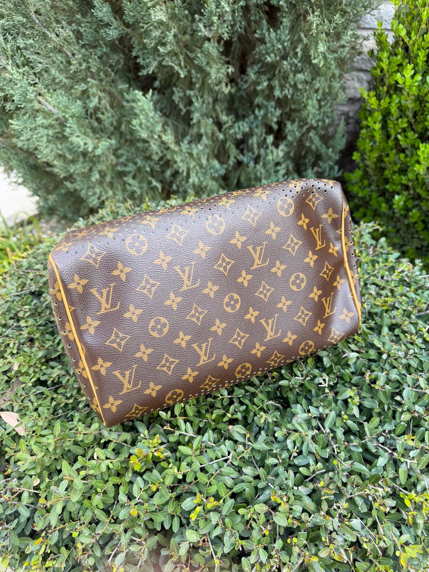 Louis Vuitton Speedy 30 – Perforated Green (Limited Edition)