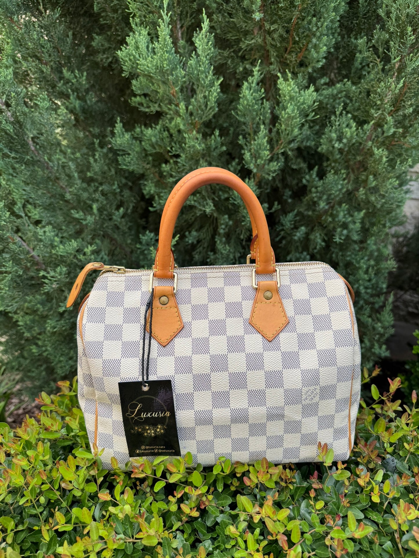 Louis Vuitton Speedy 25 Azur