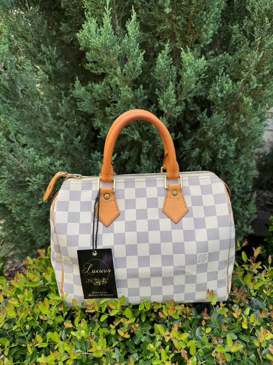 Louis Vuitton Speedy 25 Azur