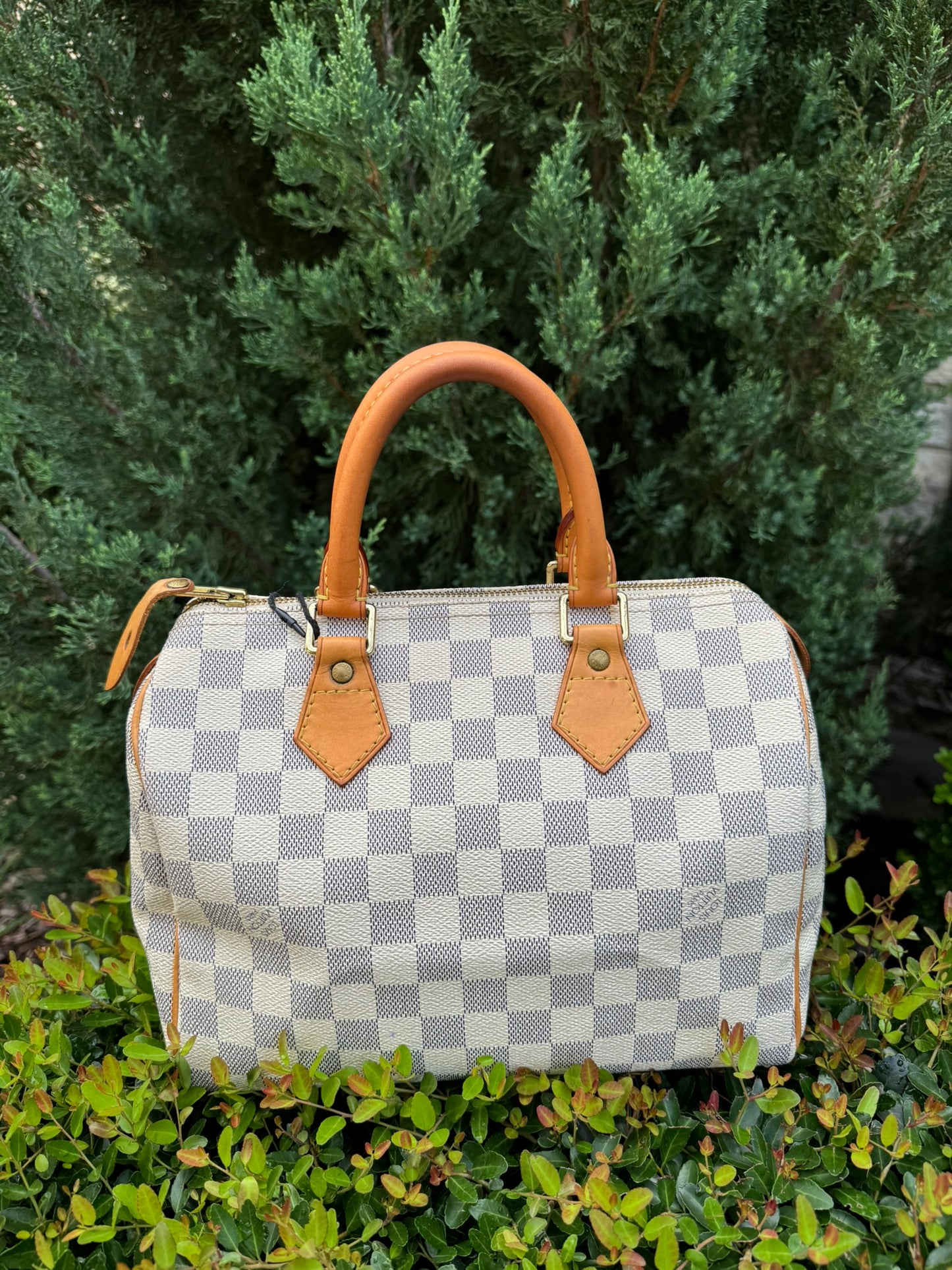 Louis Vuitton Speedy 25 Azur