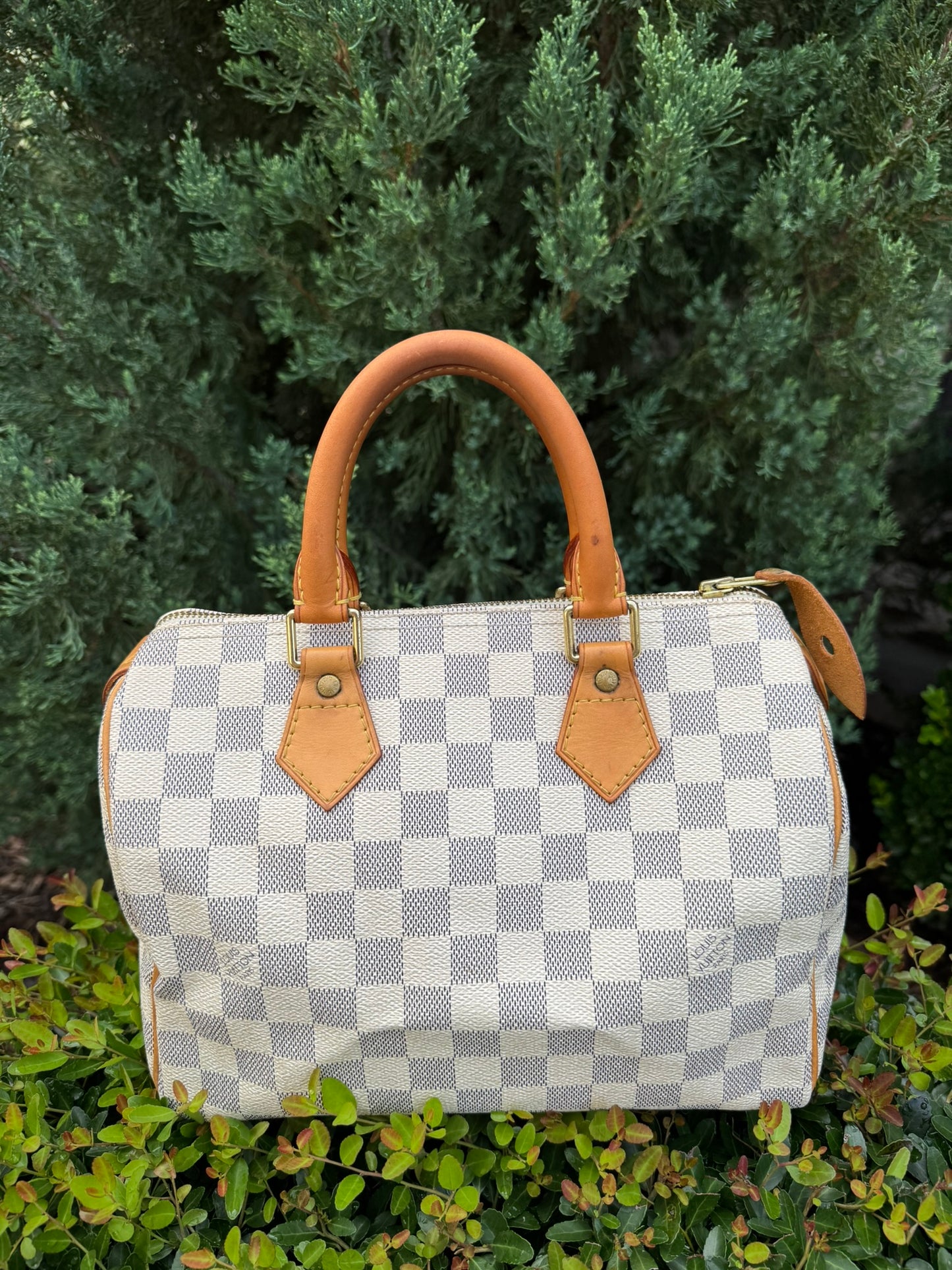 Louis Vuitton Speedy 25 Azur